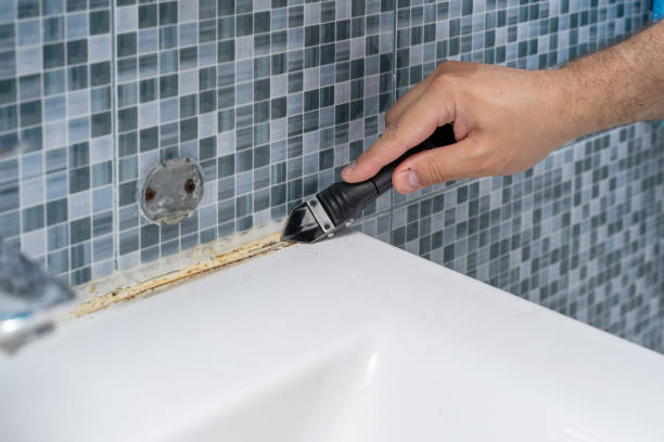 Best Mold Damage Repair  in Grand Bay, AL