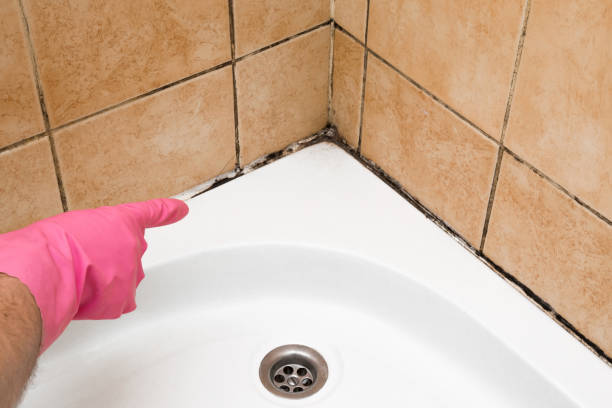 Best Mold Testing  in Grand Bay, AL